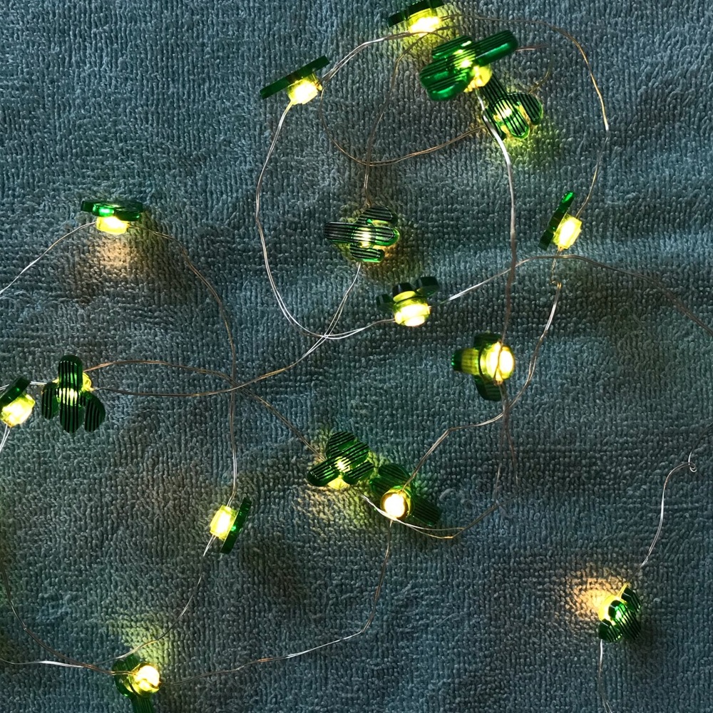 Cactus twinkle lights